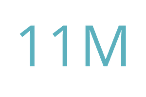 11 millones